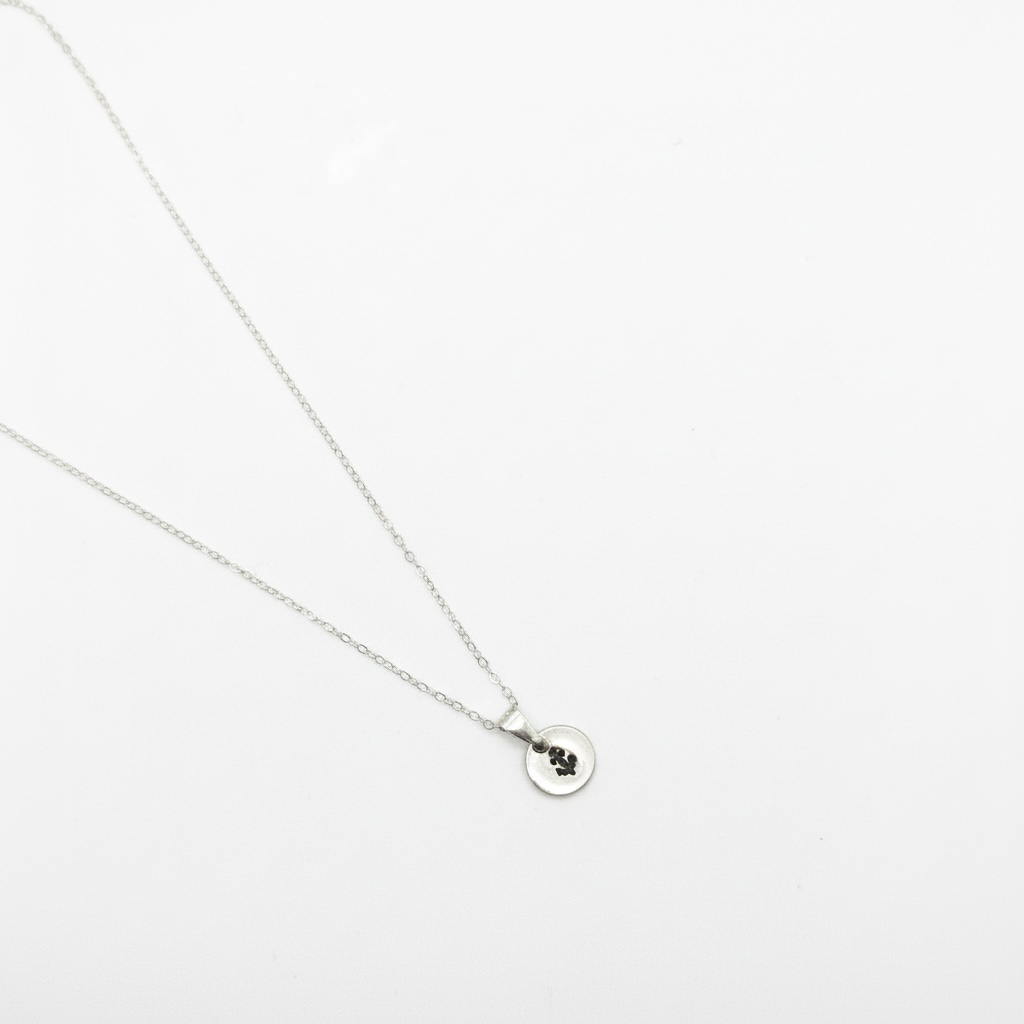 Anchor Coastal Mini Medallion Necklace