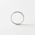 Shoreline Ring